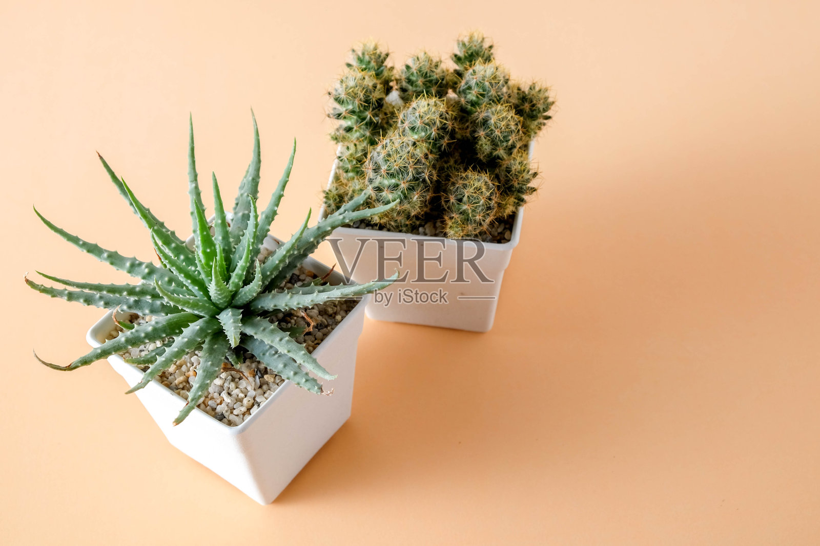 多肉或仙人掌在混凝土锅在橙色背景的架子上照片摄影图片