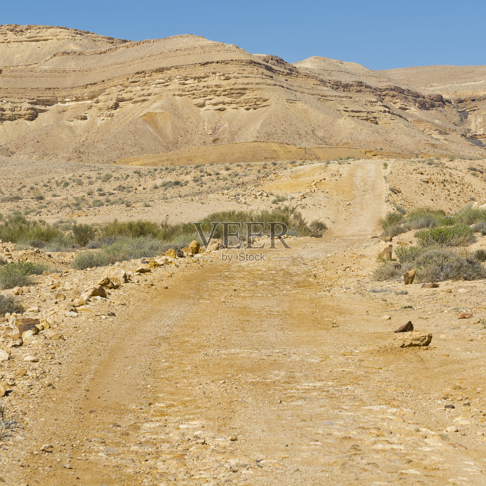 以色列沙漠景观照片摄影图片