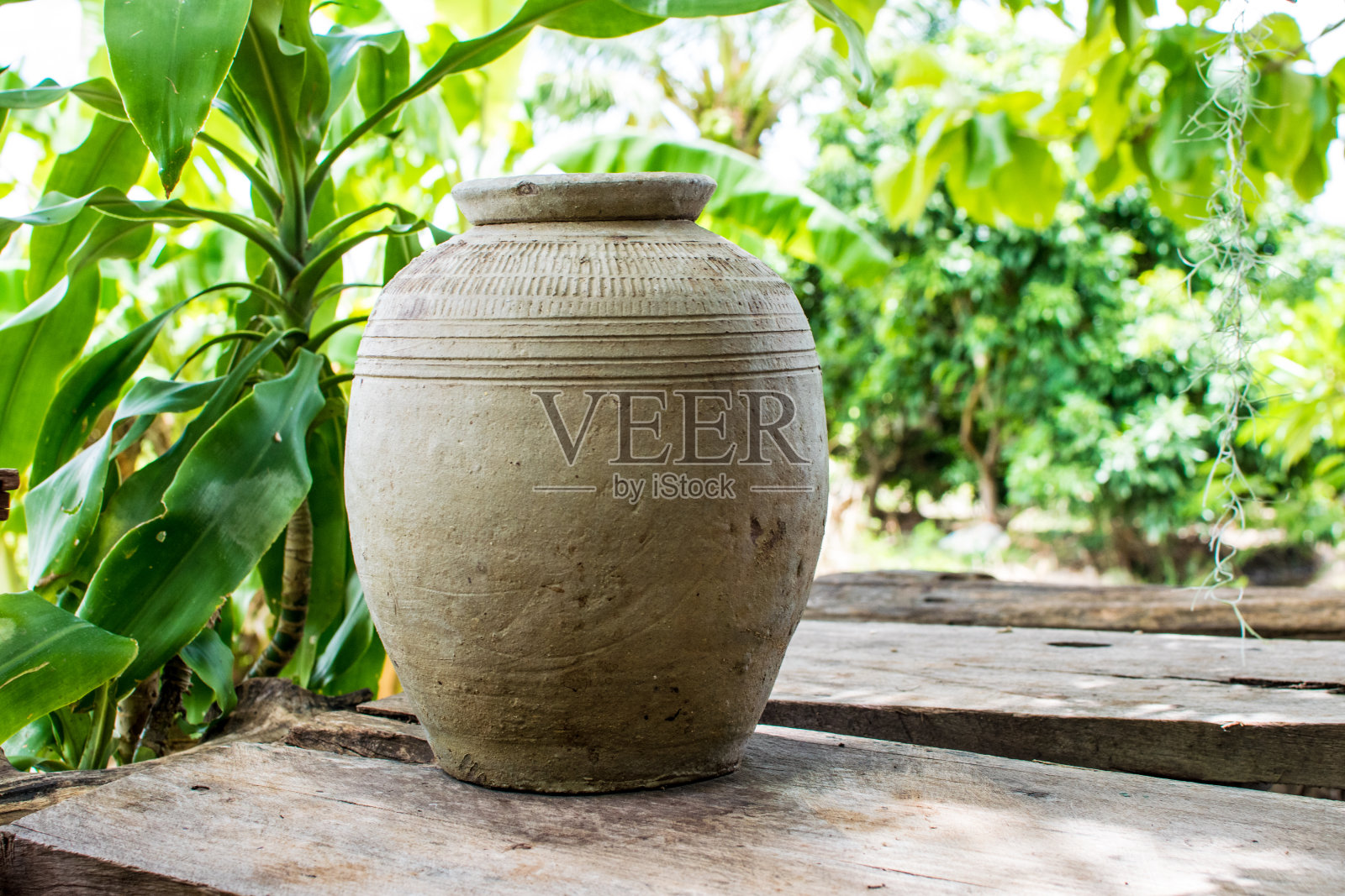 旧罐子照片摄影图片