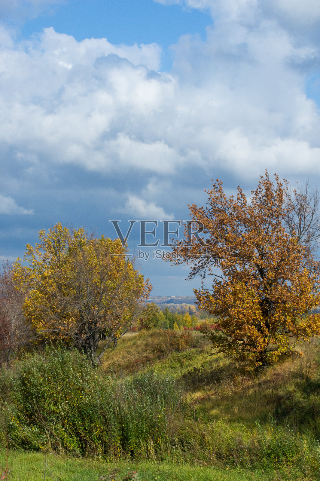 秋天的好时节照片摄影图片
