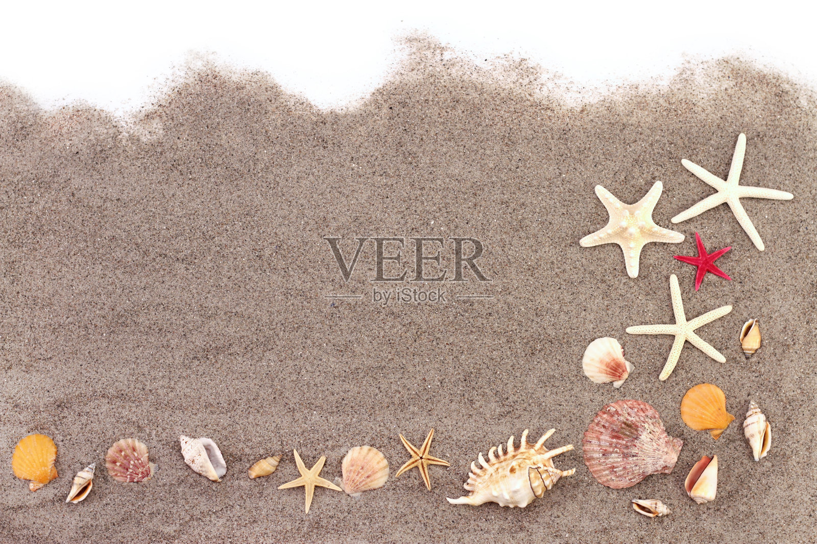 沙滩上的海星和贝壳照片摄影图片