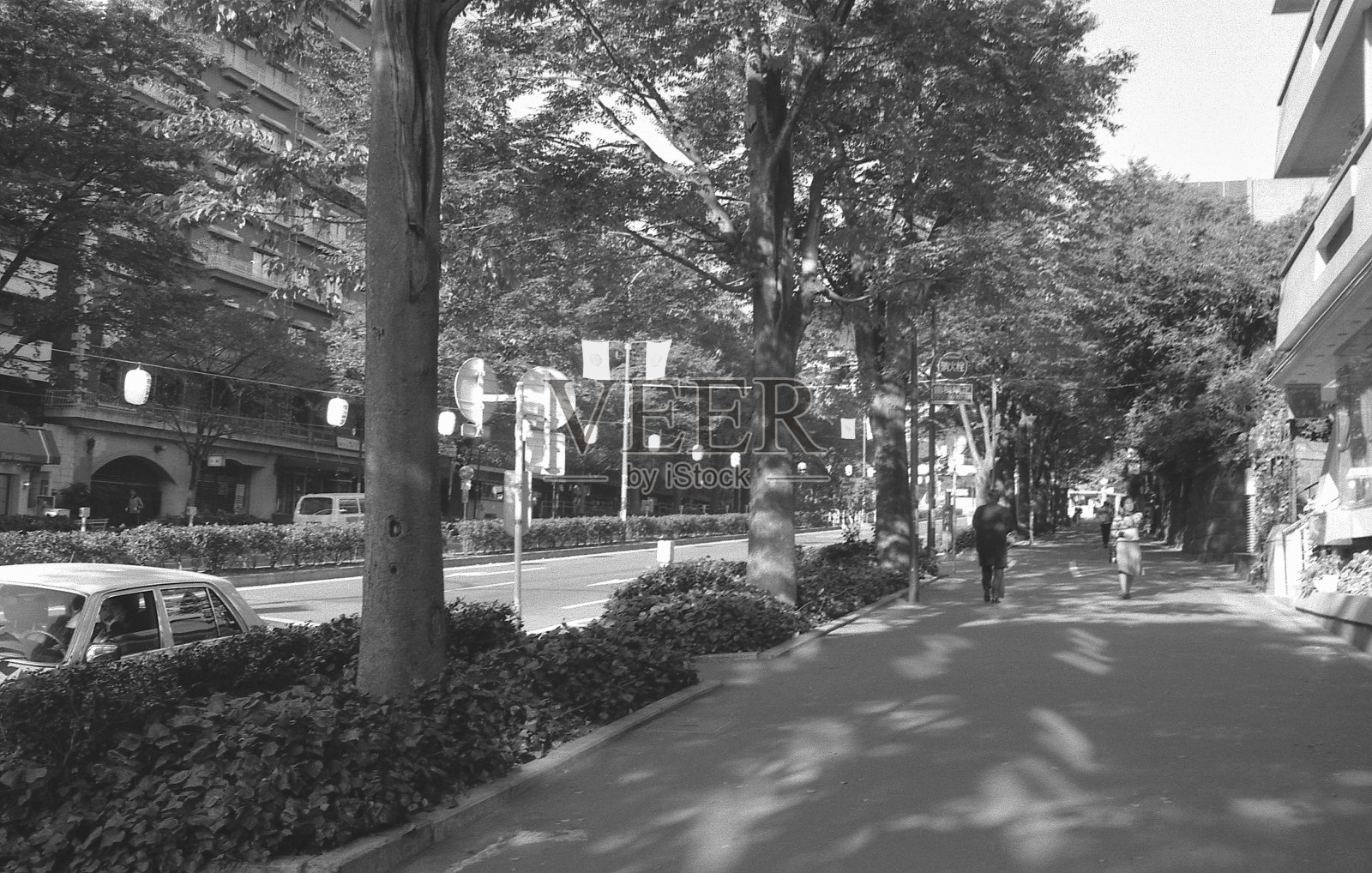 原宿和表参道照片摄影图片