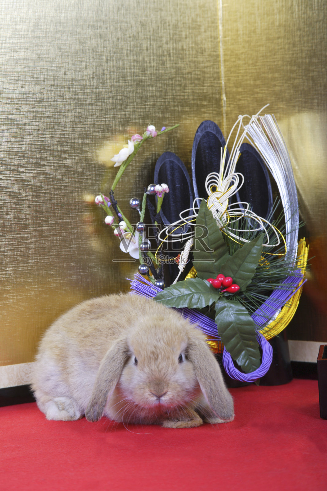 迎宾与角松兔新年。照片摄影图片