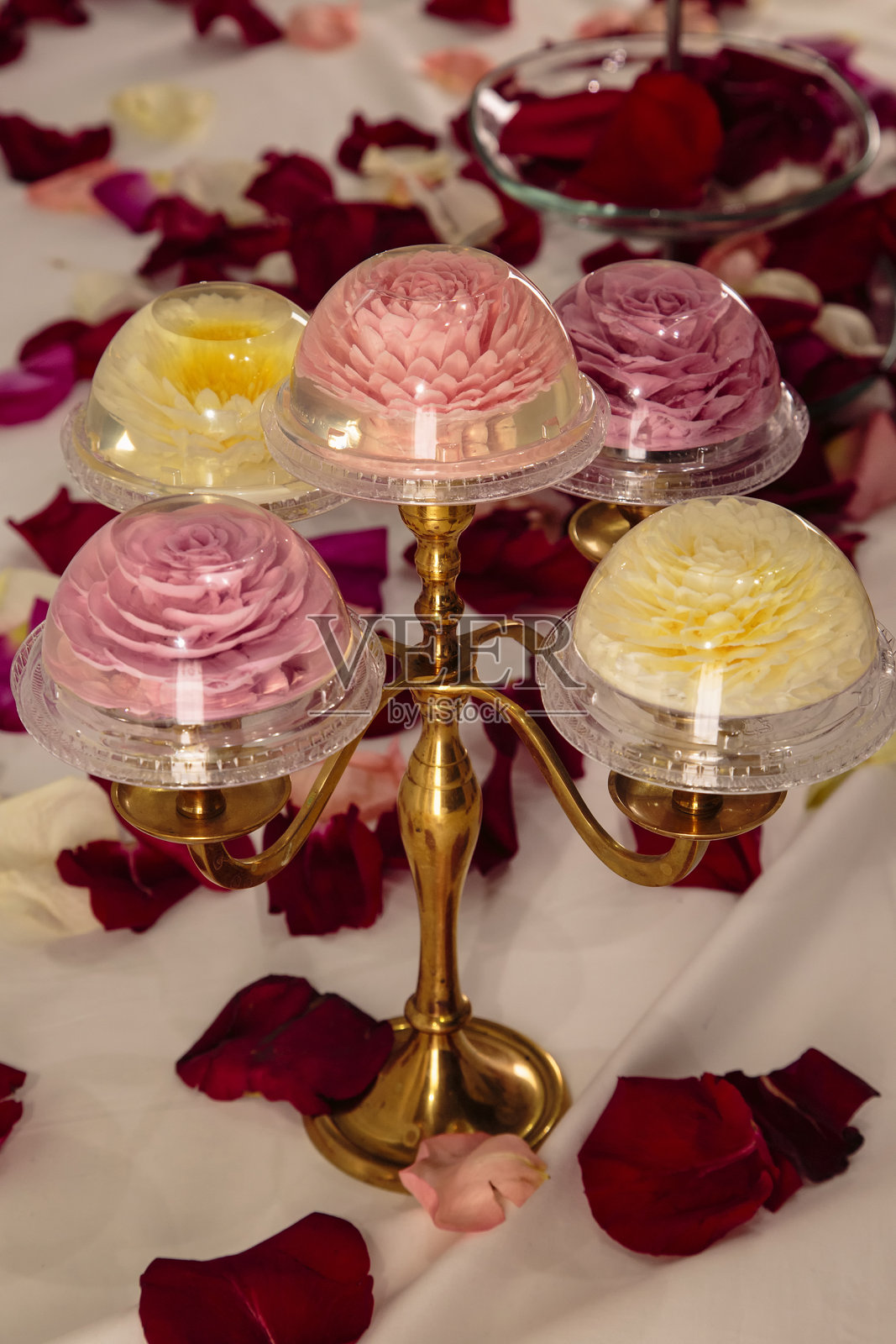 自制花形果冻照片摄影图片