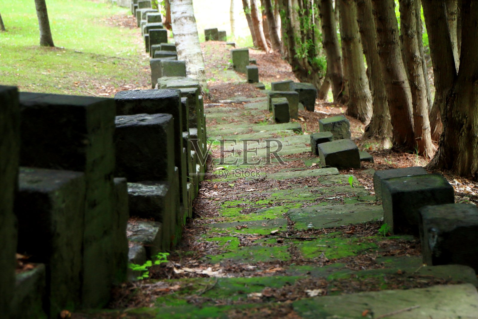 这是札幌公园里的老石路照片摄影图片