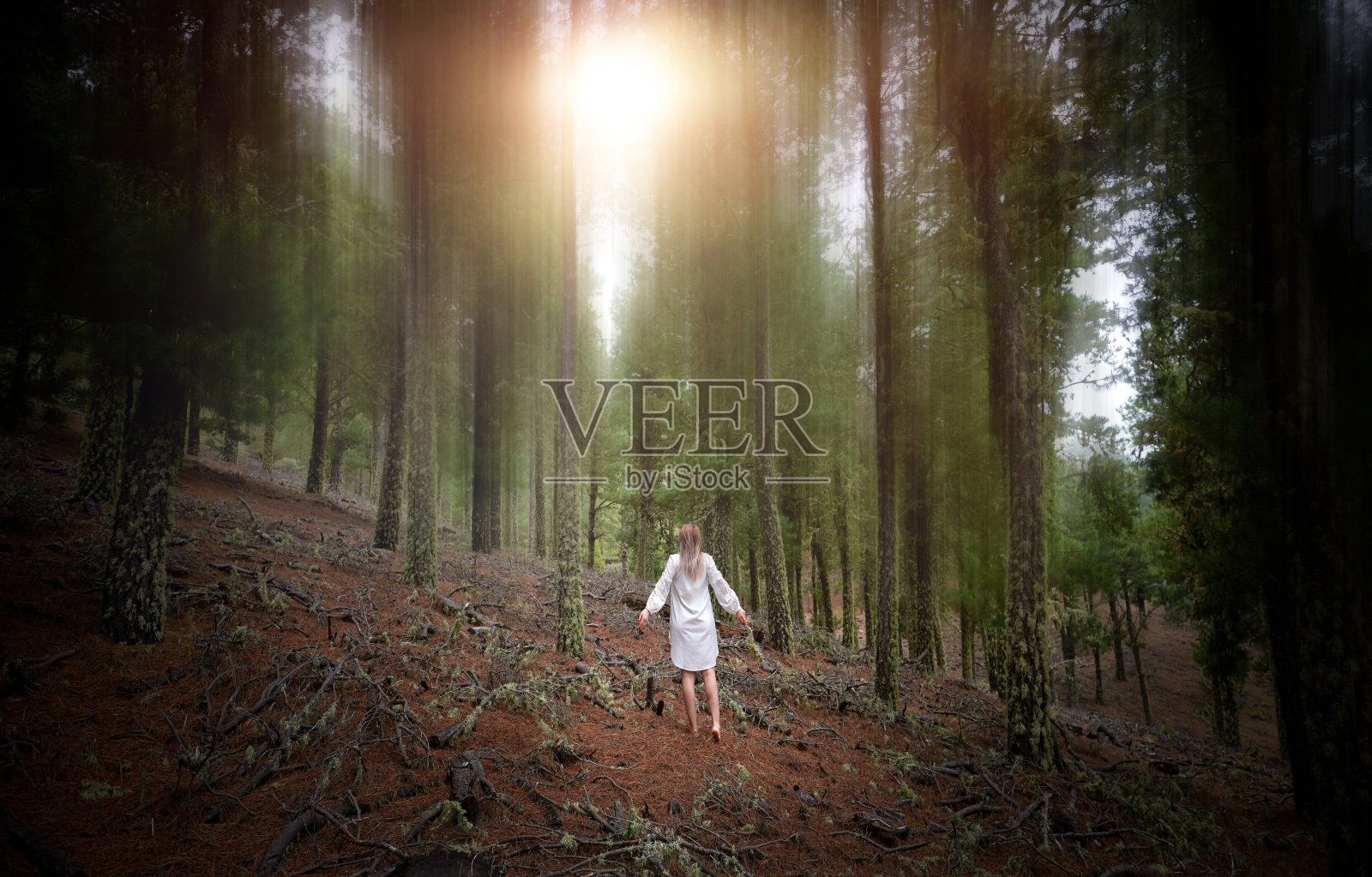 发现自己照片摄影图片