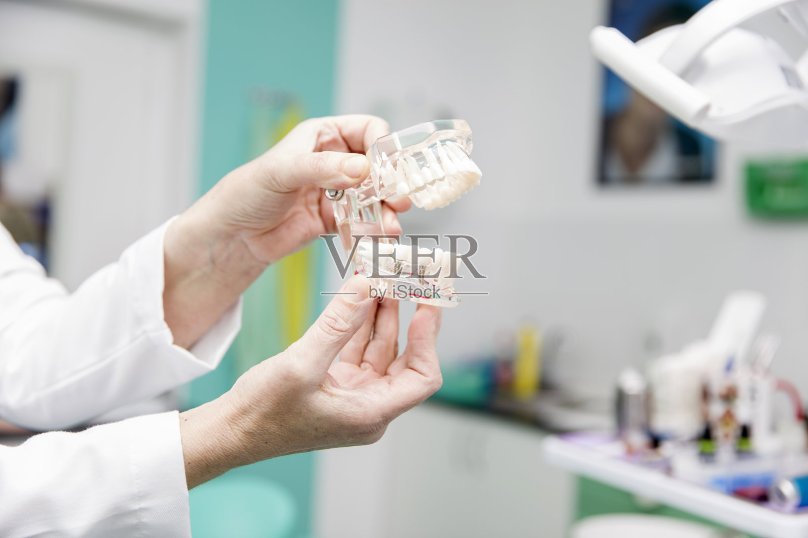 手持假牙的女牙医照片摄影图片