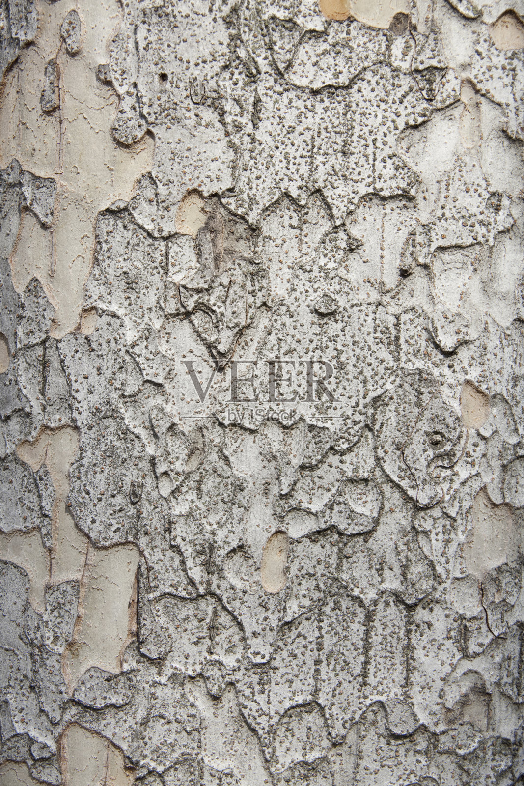 叫照片摄影图片