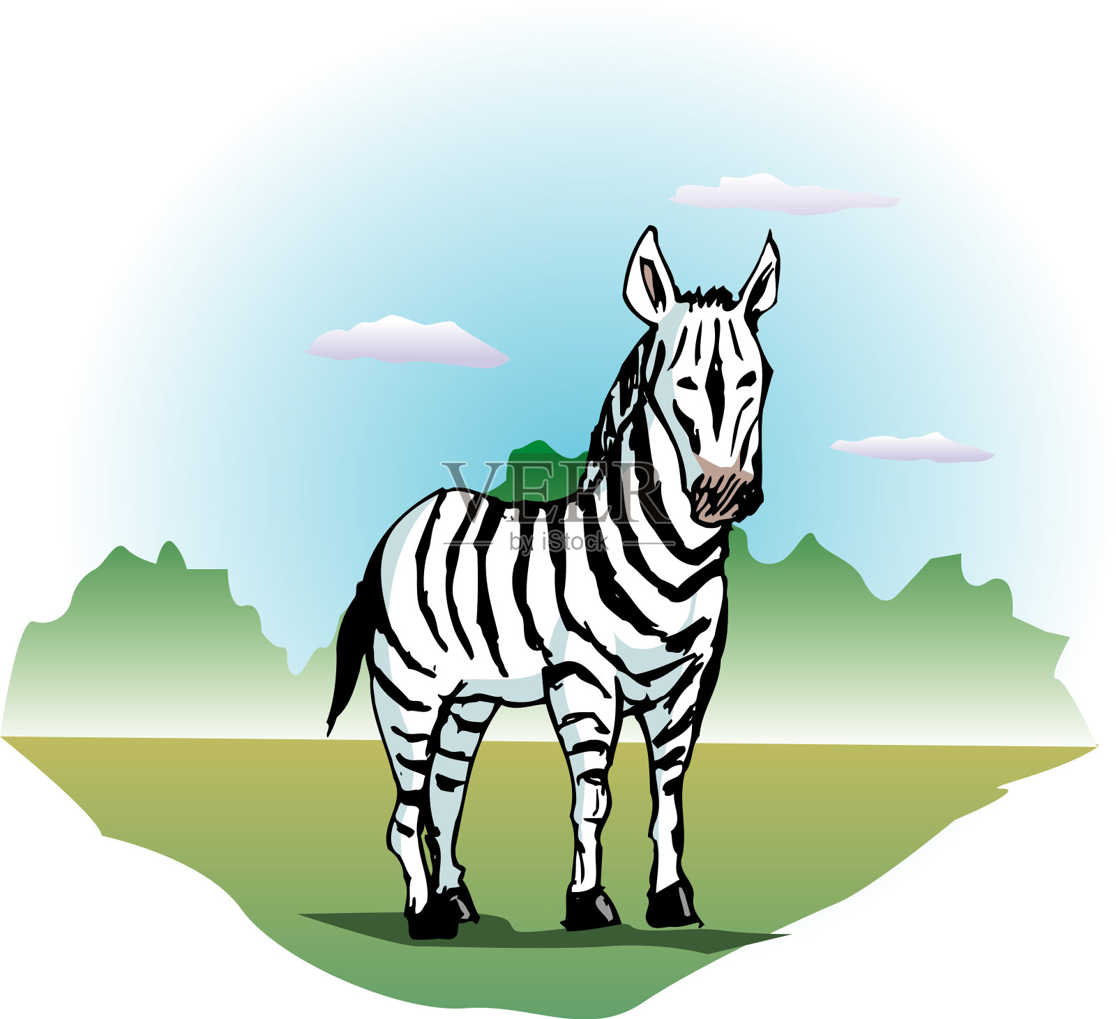 斑马插画图片素材