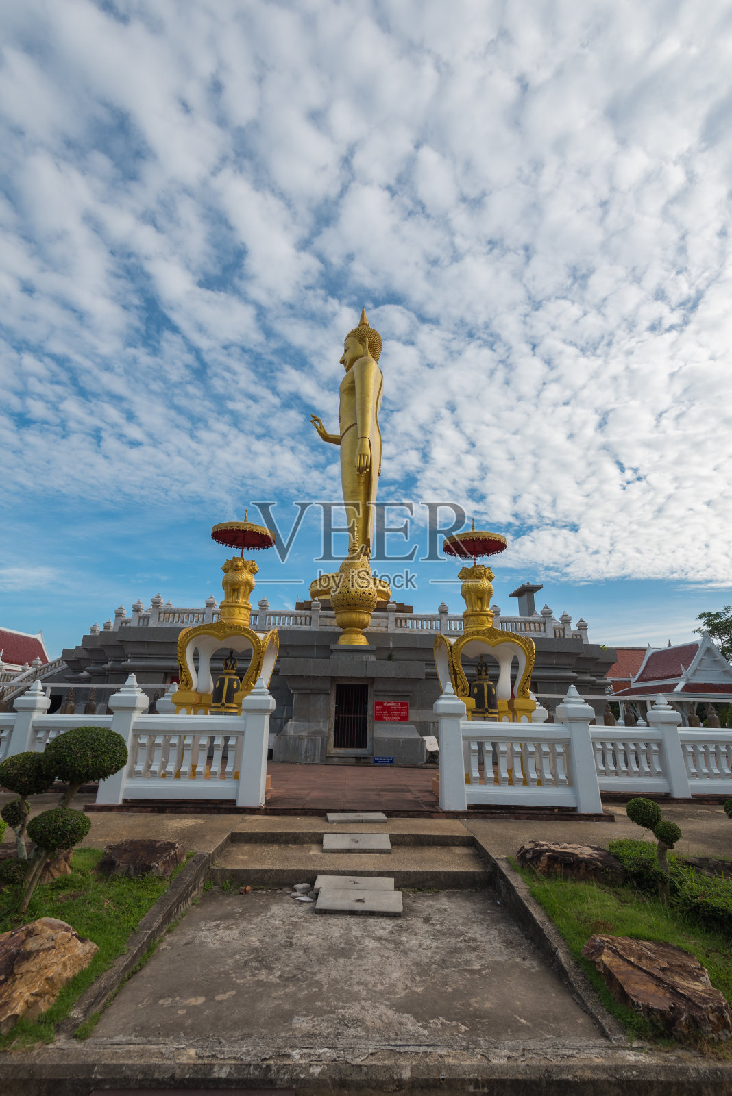 最大的站立佛像照片摄影图片