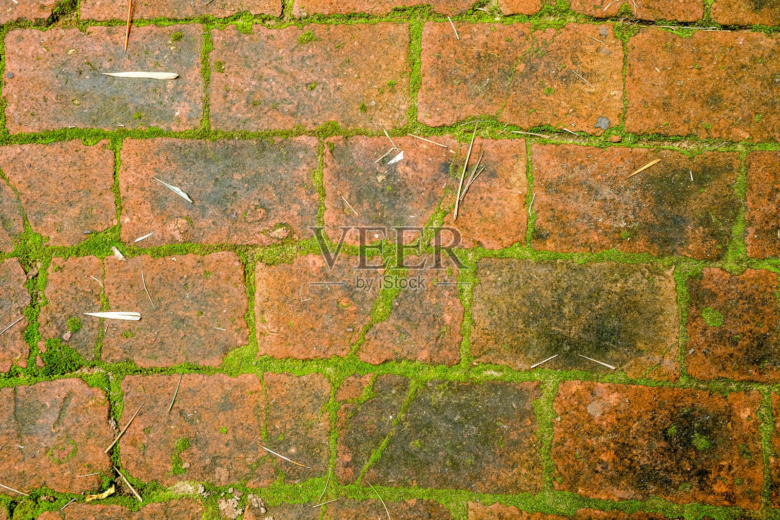 青苔上的砖墙背景纹理照片摄影图片