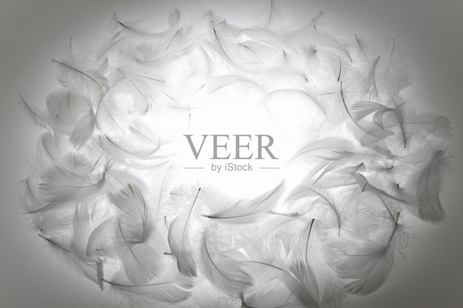 羽毛照片摄影图片