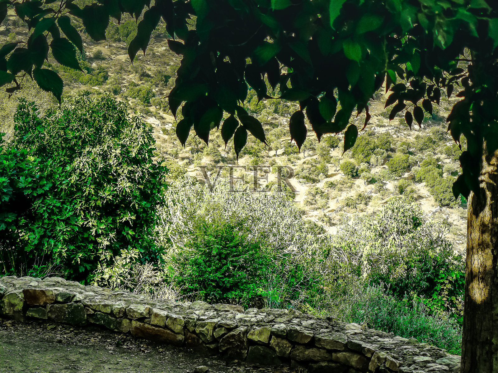 徒步旅行在以色列照片摄影图片