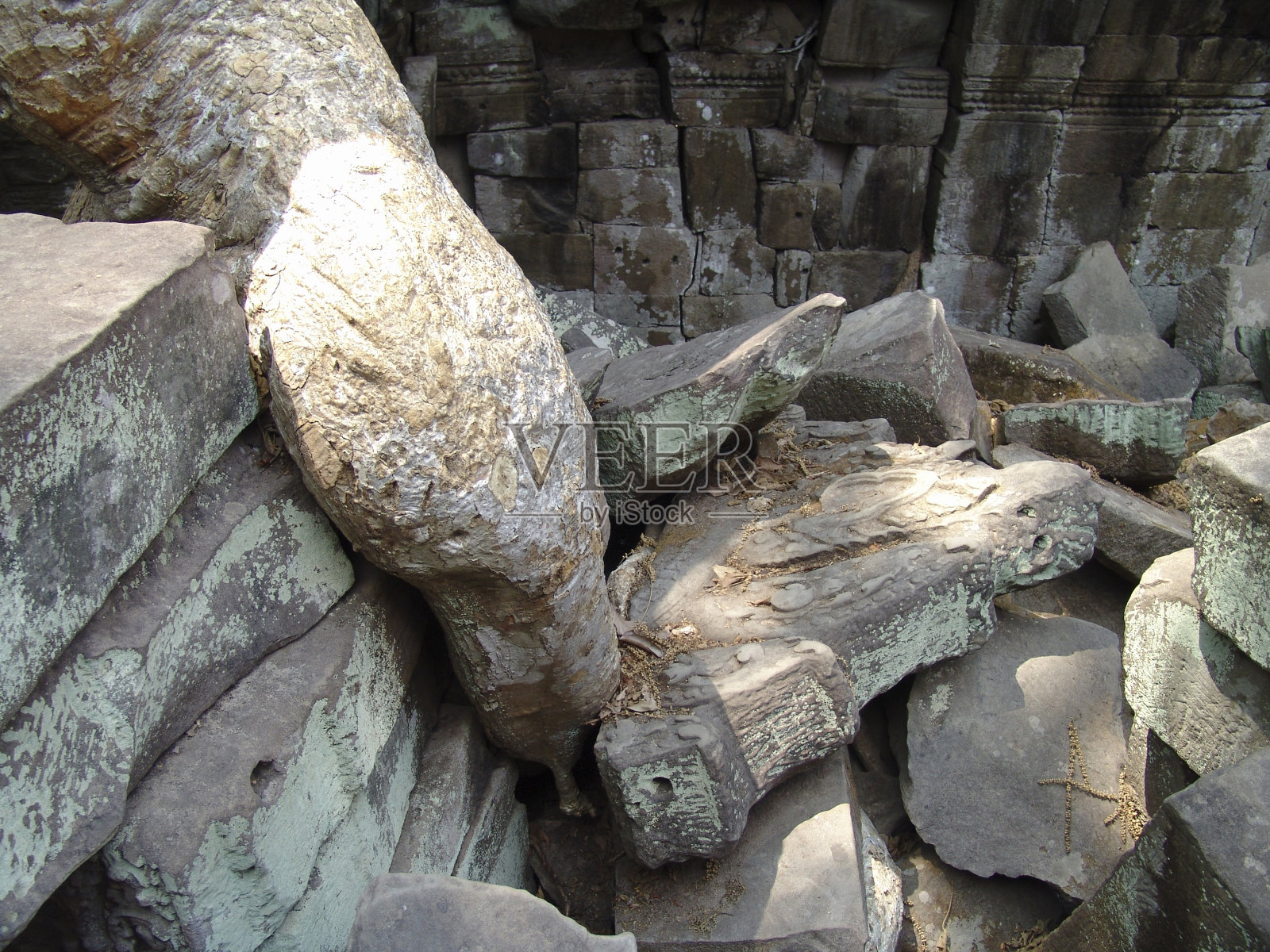 塔普罗姆照片摄影图片