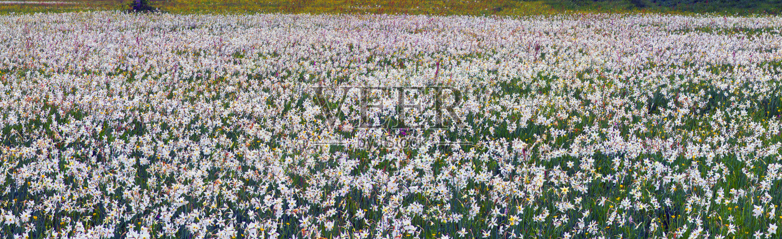 达菲山谷，赫斯特照片摄影图片