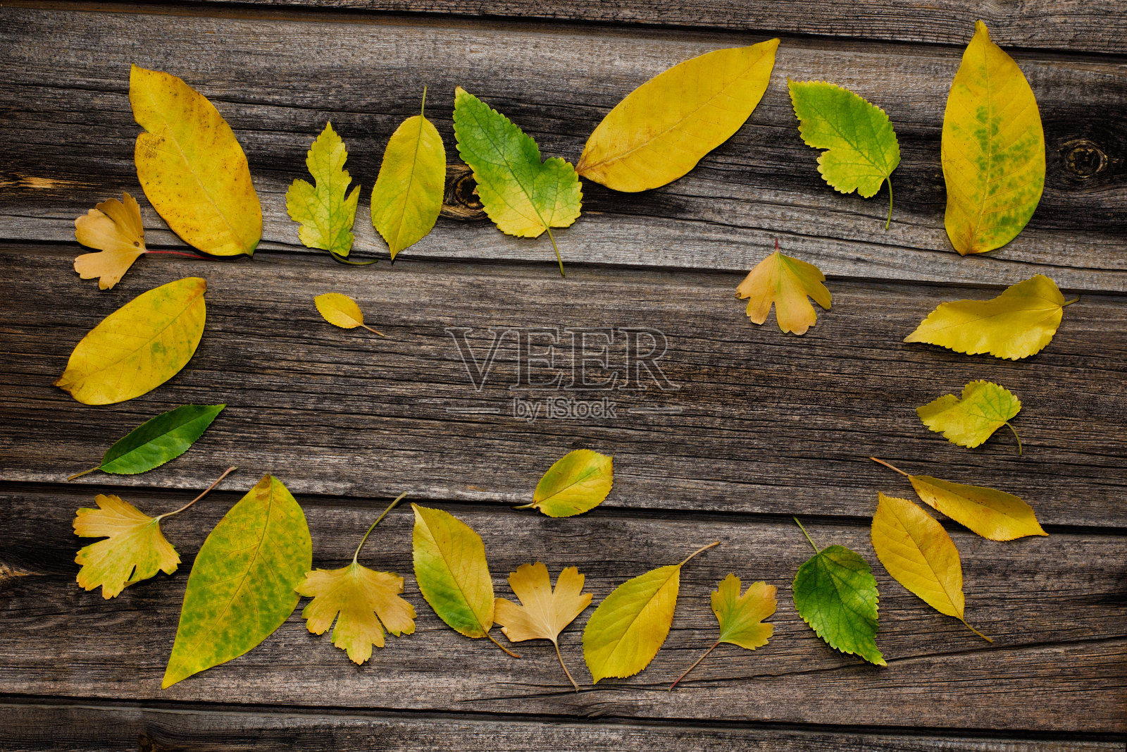 黄叶框架，木制背景。文本的地方照片摄影图片