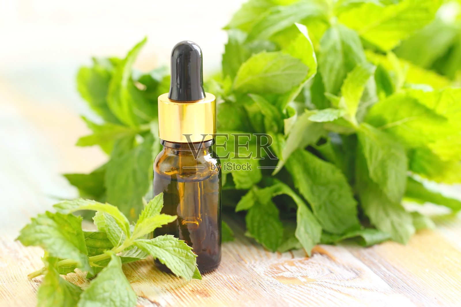 薄荷香薰油照片摄影图片