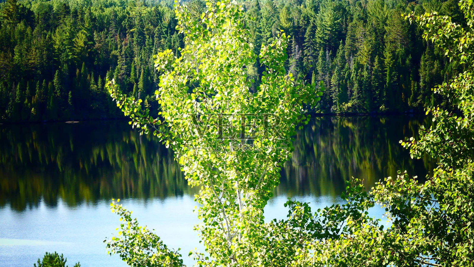 自然照片摄影图片
