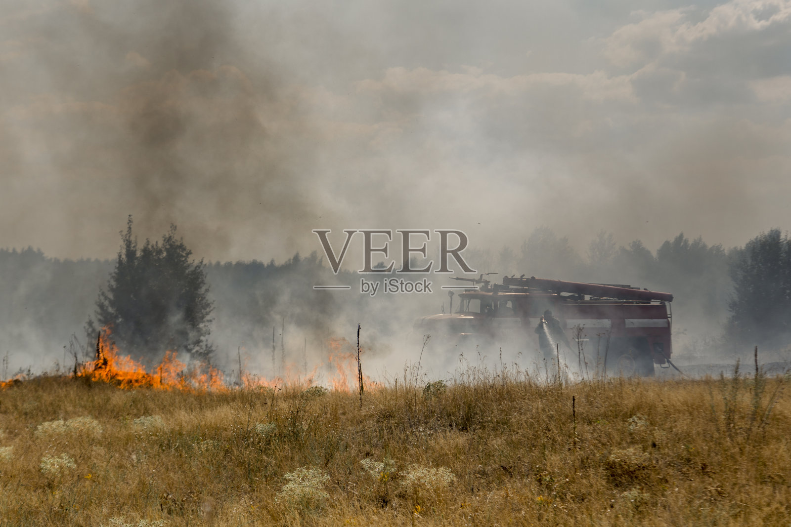由于持续干燥的天气而引起的森林野火照片摄影图片