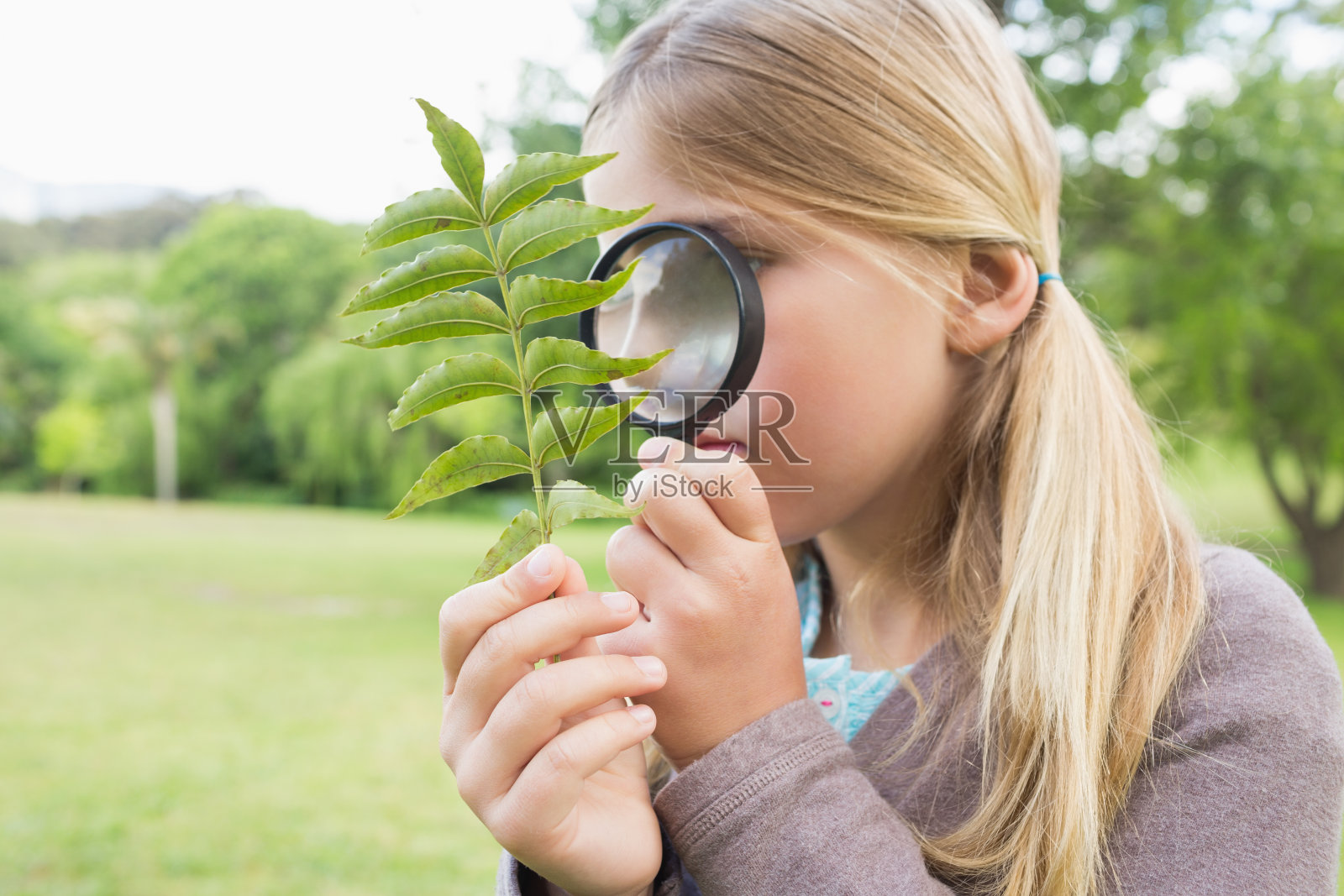 女孩在公园里用放大镜检查树叶照片摄影图片