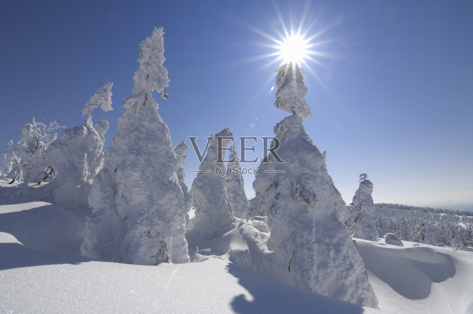 ice押韵照片摄影图片