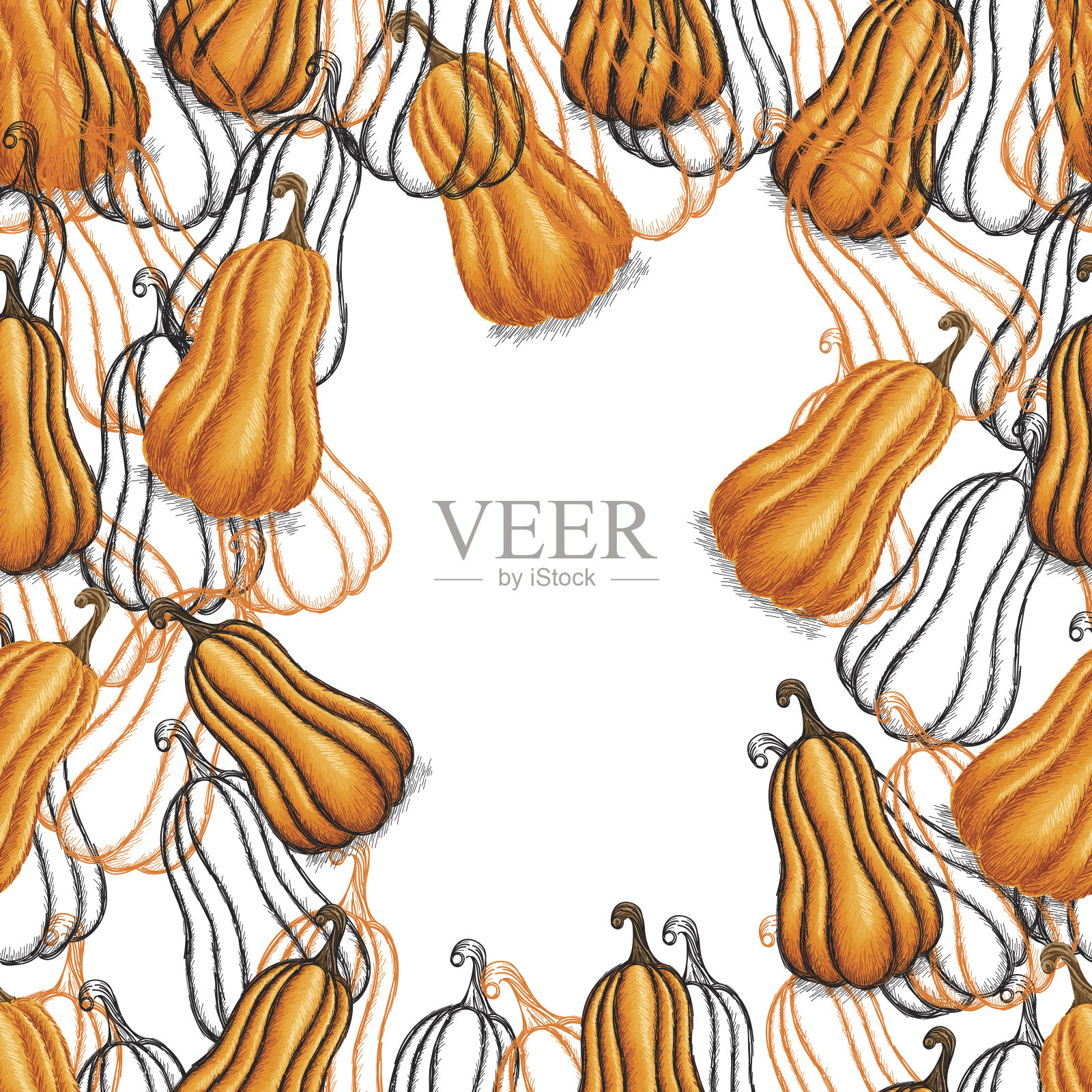 矢量南瓜草图在无缝模式插画图片素材