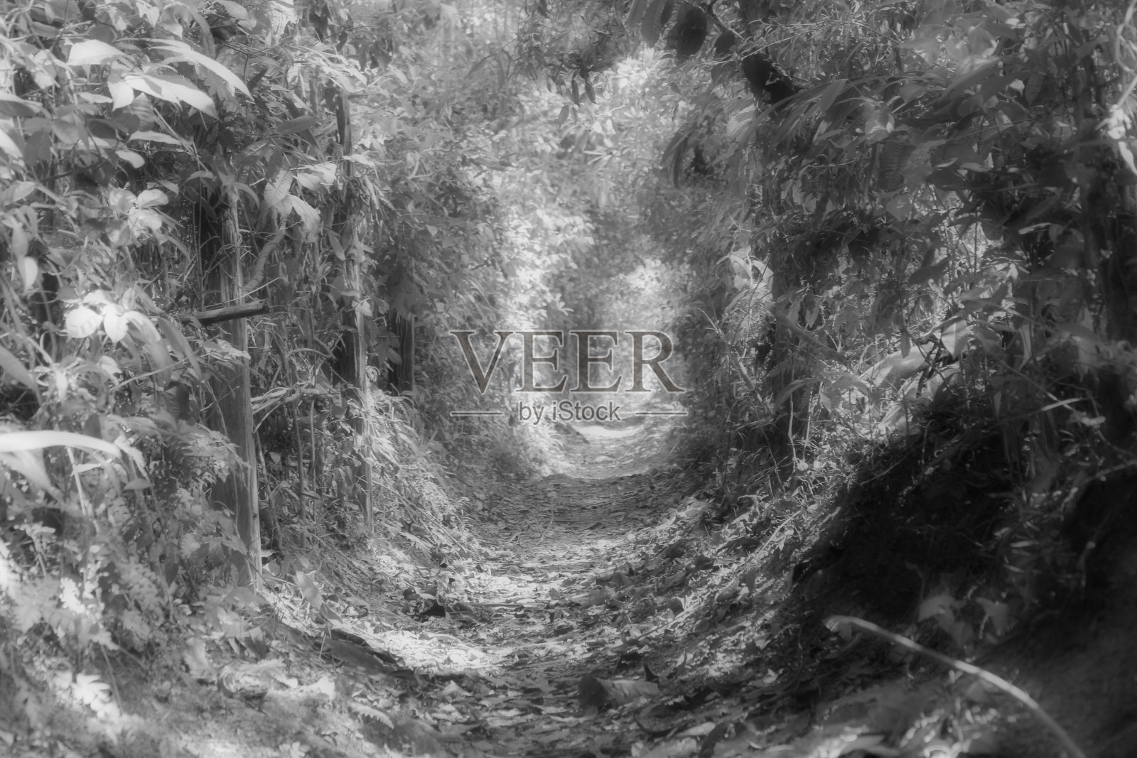 行走路径照片摄影图片