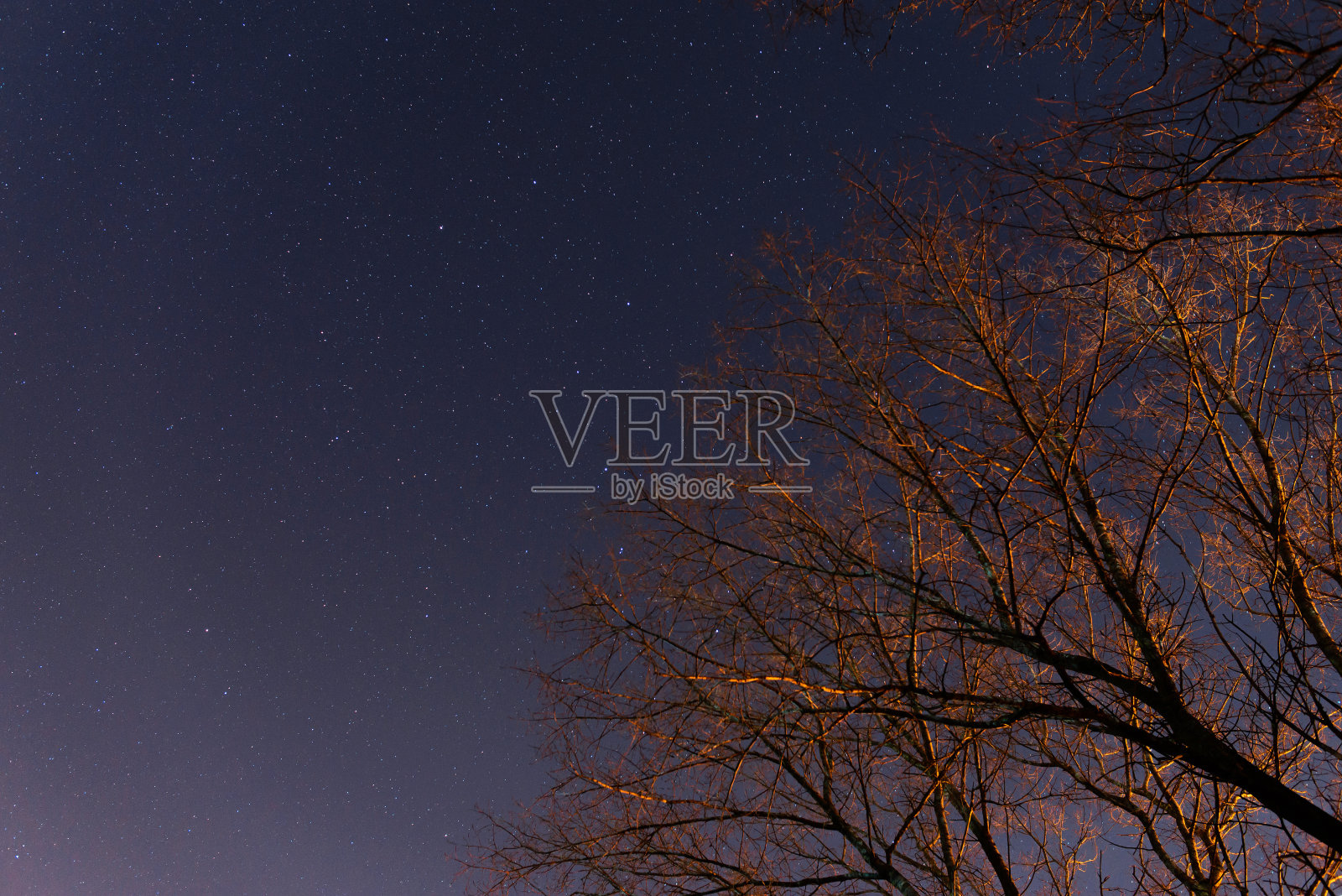 美丽的夜空，银河和树木照片摄影图片