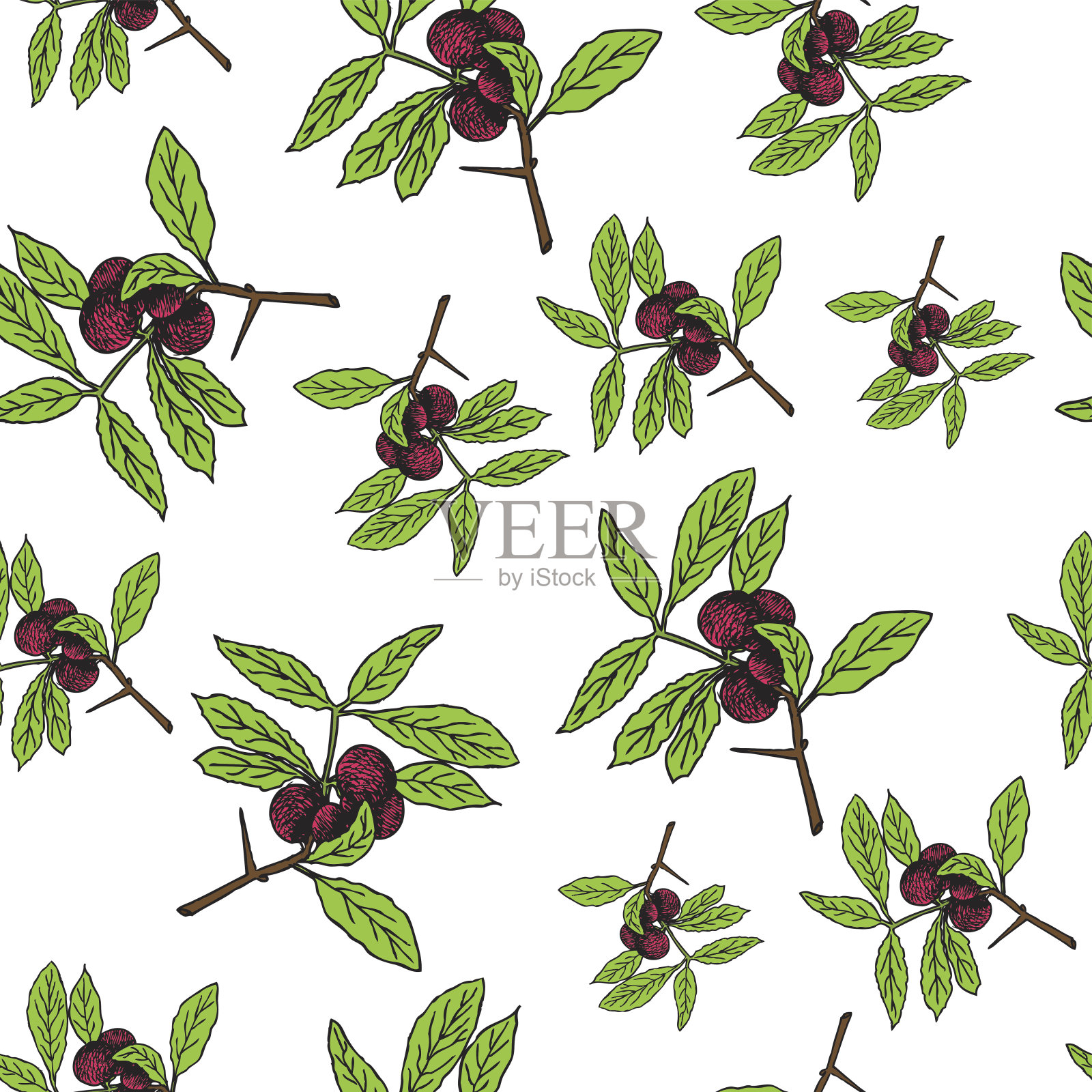 树枝与浆果和绿色的叶子在白色的黑底。无缝彩色矢量图案。可以用于纺织，网页设计吗插画图片素材