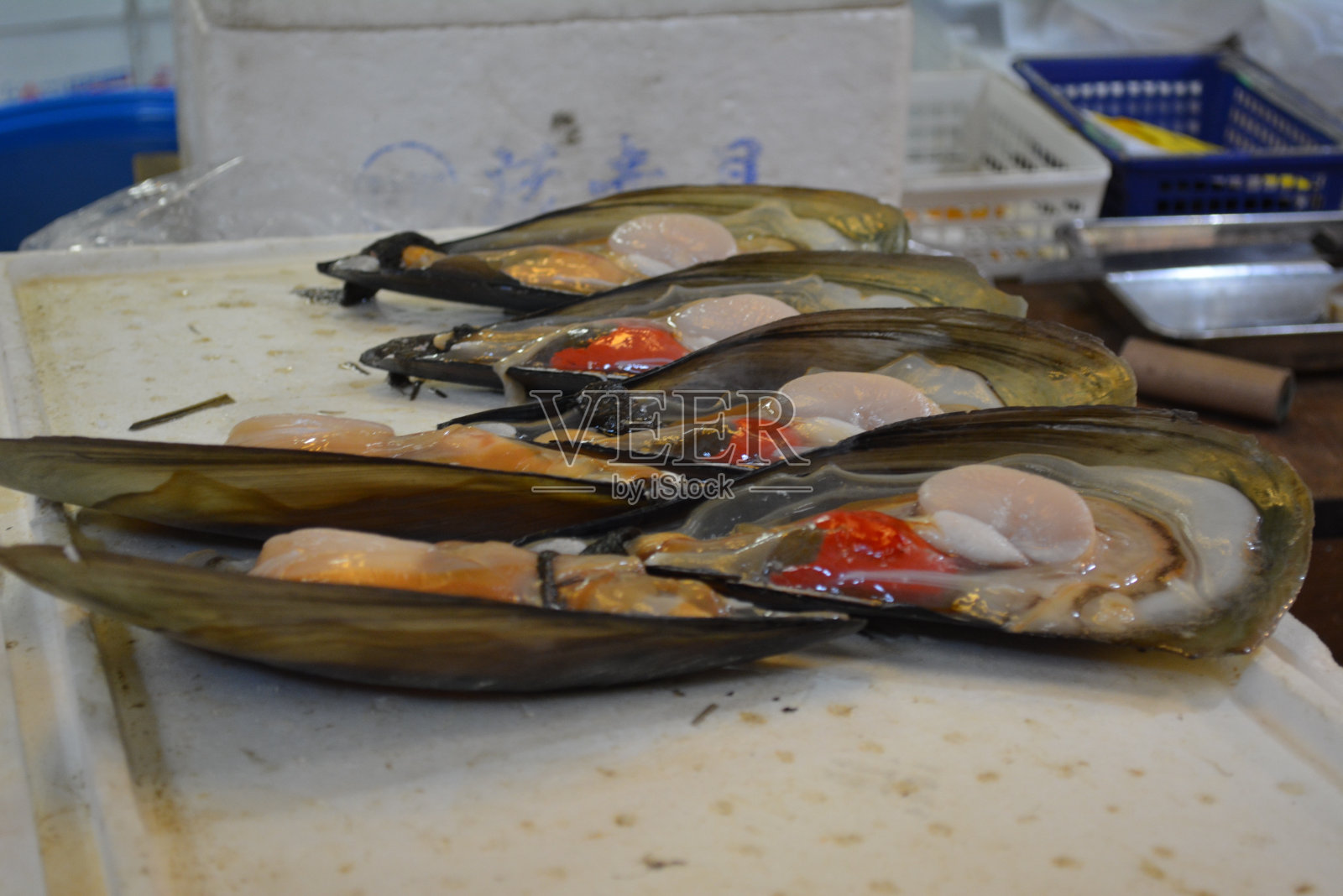 筑地市场照片摄影图片