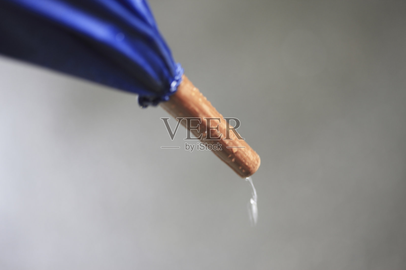 伞照片摄影图片