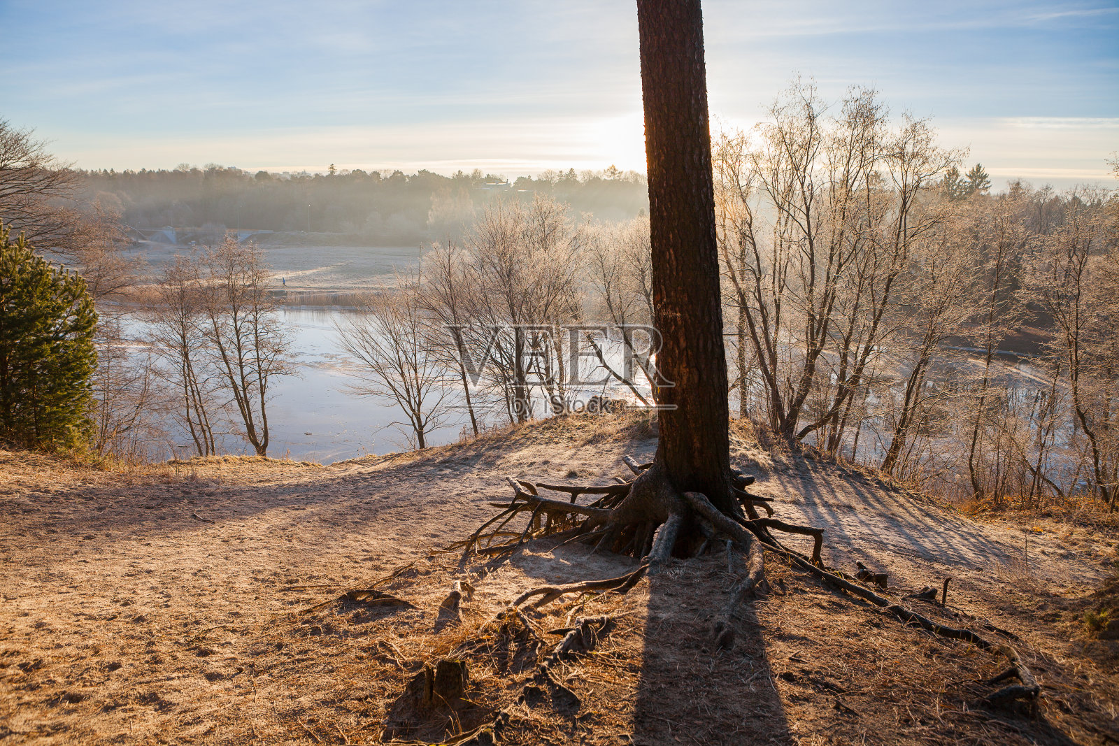 秋日的河坡上长满了树木和阳光照片摄影图片