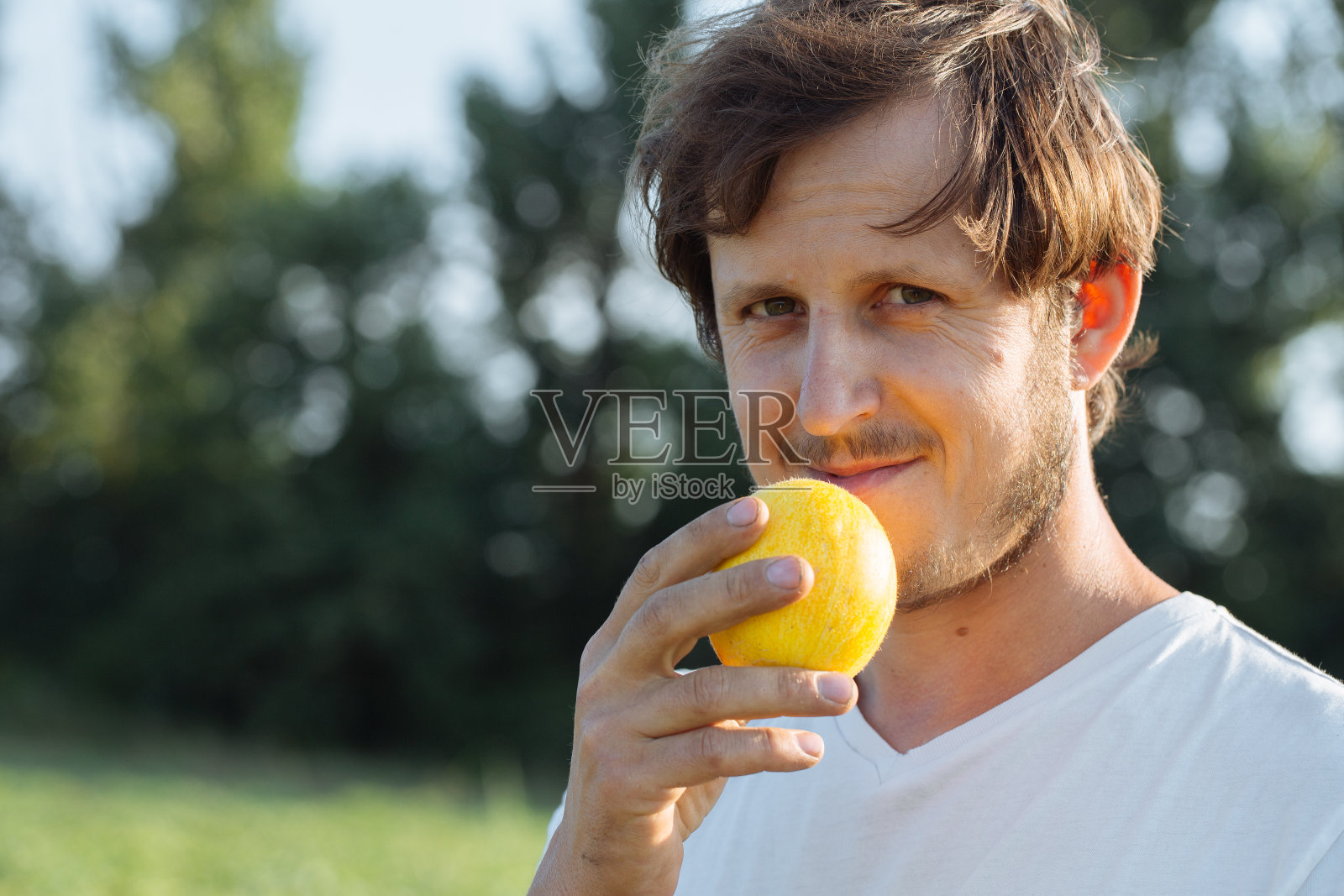 农民捧着小甜瓜近脸，看着相机拍摄的有机甜瓜农场。照片摄影图片