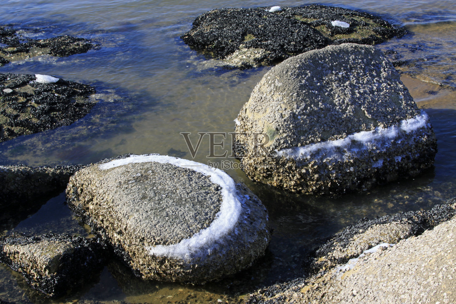 海礁的自然环境，特写照片照片摄影图片