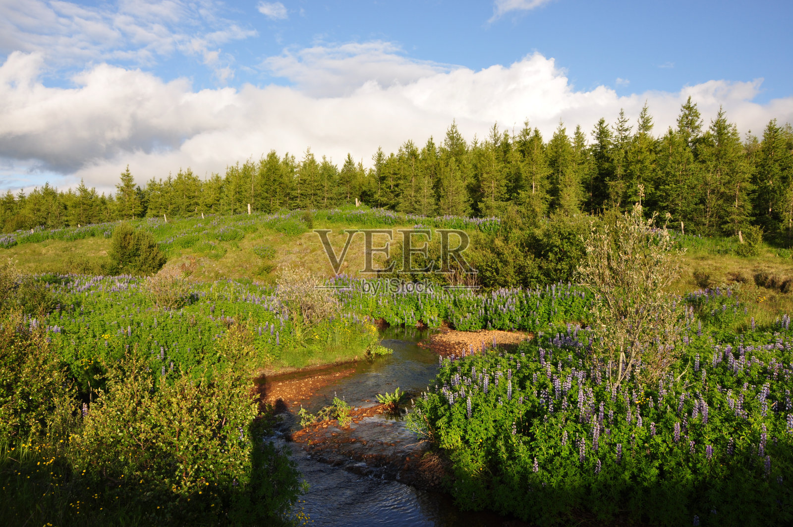 冰岛Egilsstadir的景观照片摄影图片
