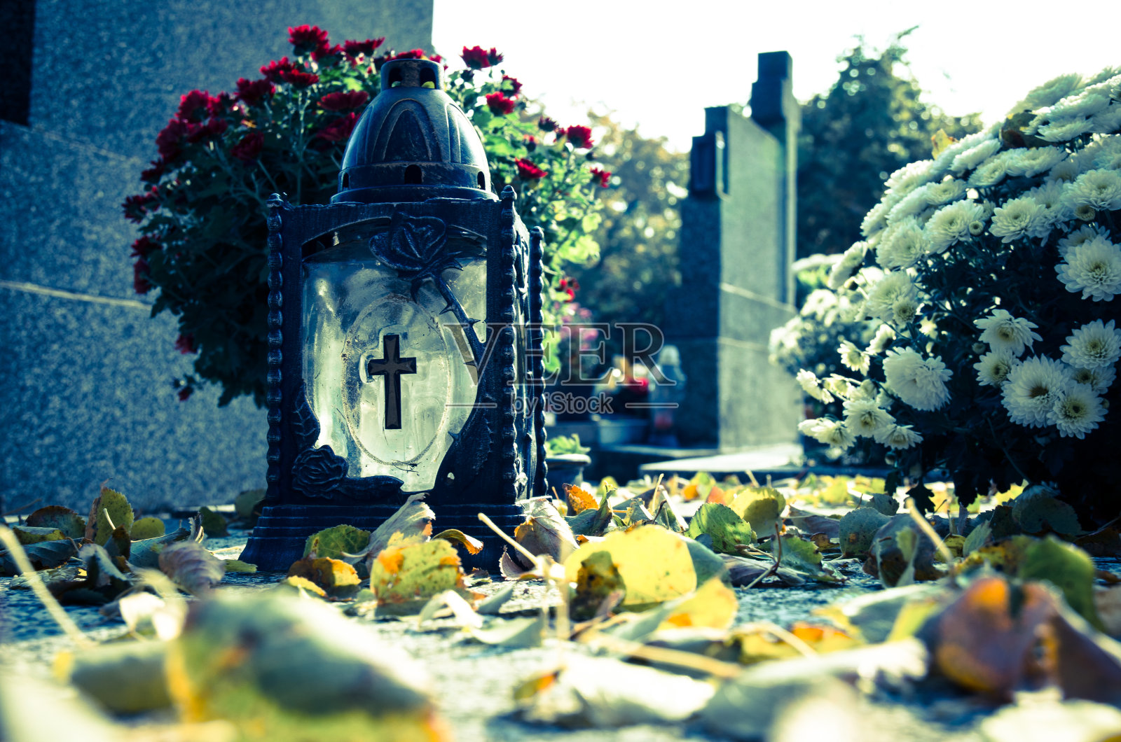 万圣节坟墓上的装饰照片摄影图片