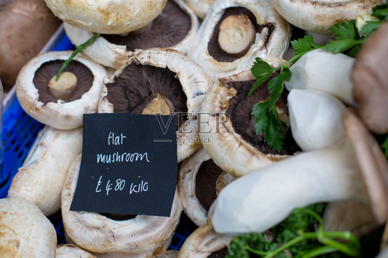 近距离观察不同种类的蘑菇照片摄影图片