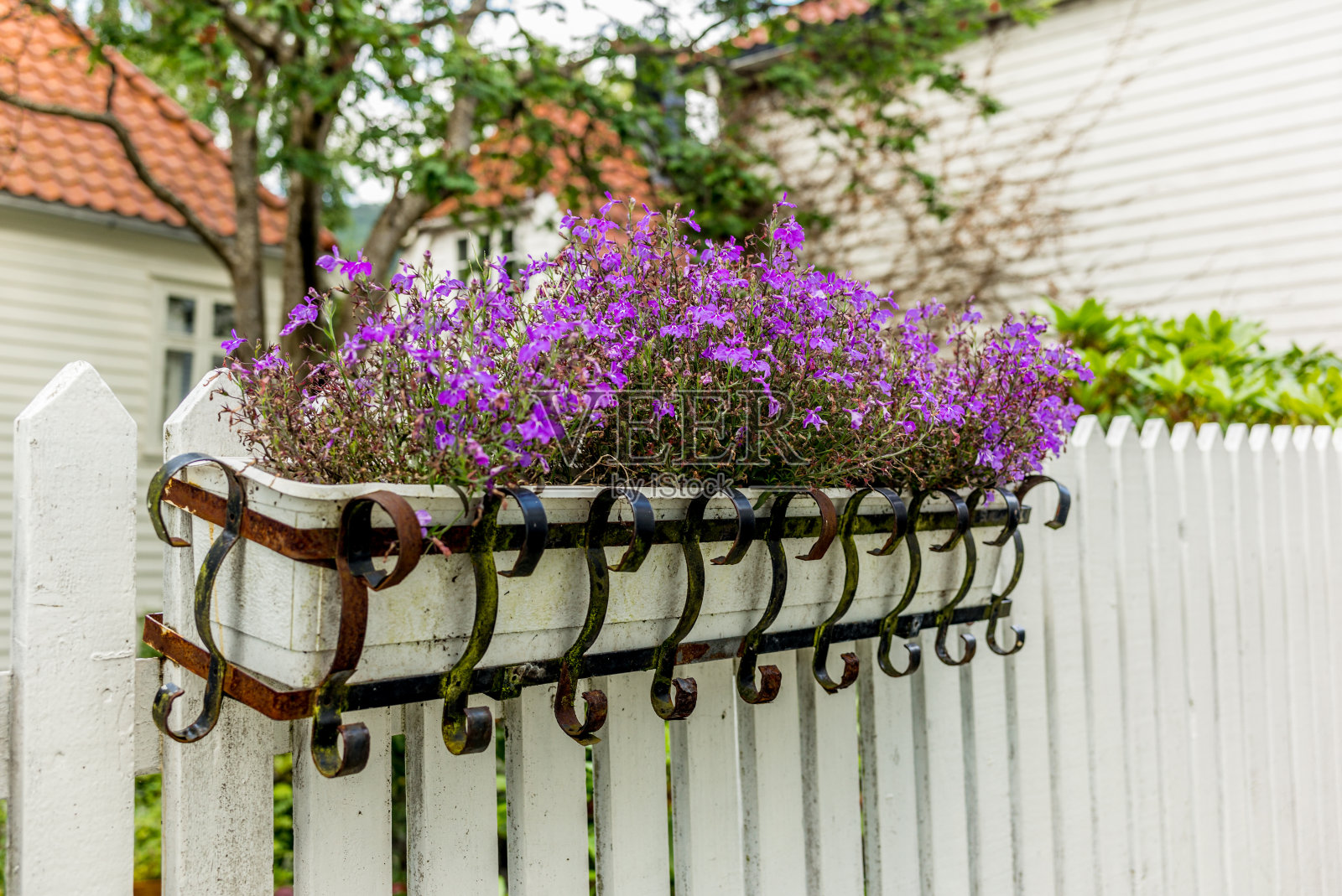 挪威卑尔根市中心的彩色街道- 14照片摄影图片