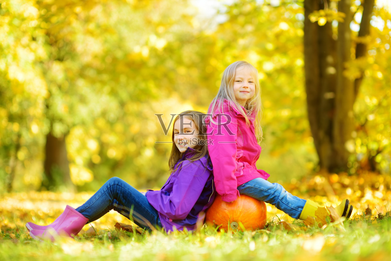 可爱的小女孩在美丽的秋天的南瓜地里玩耍照片摄影图片