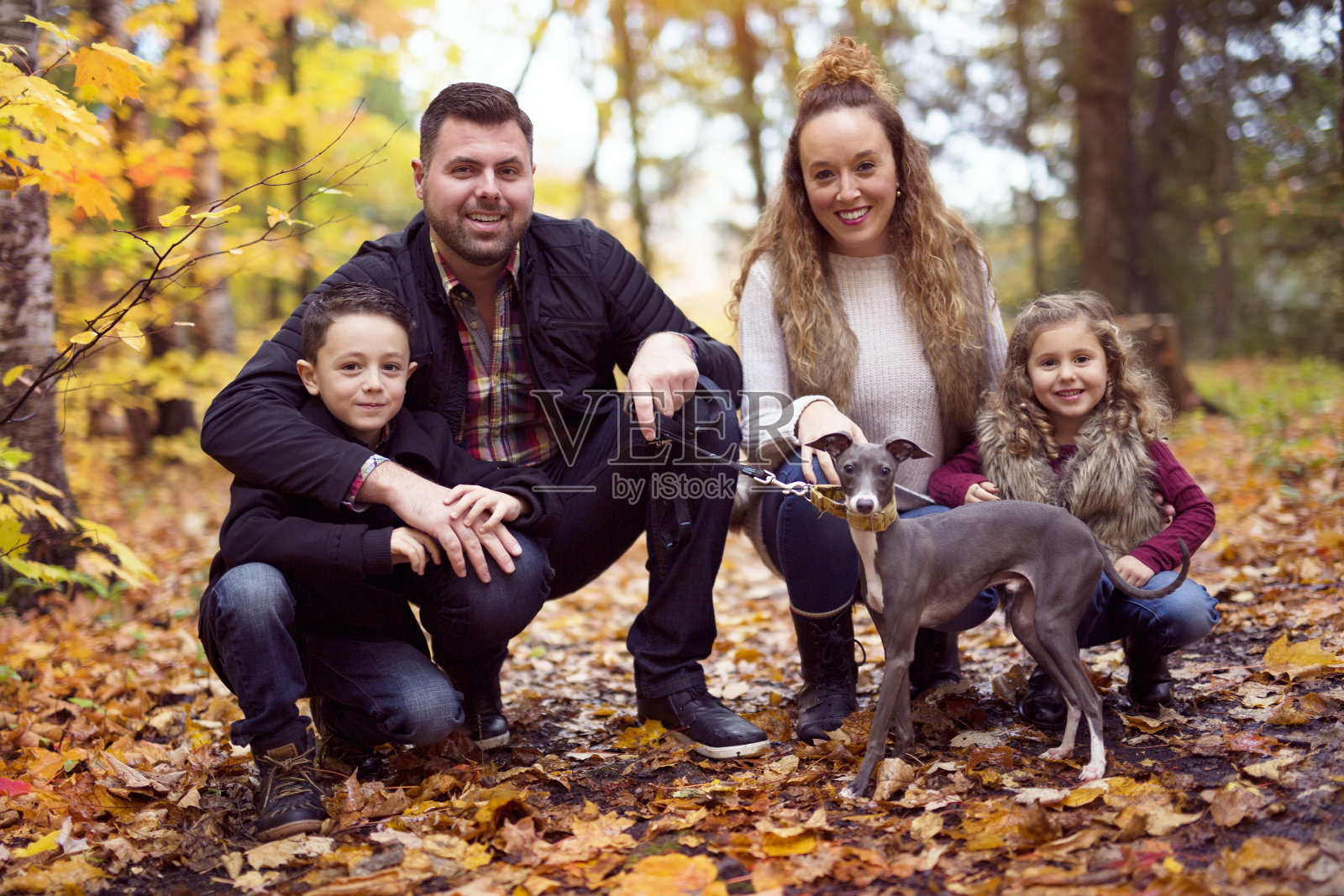 一家三口在秋天的公园里享受金黄的树叶照片摄影图片