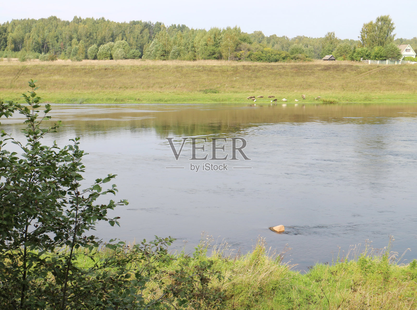 对河岸景观照片摄影图片