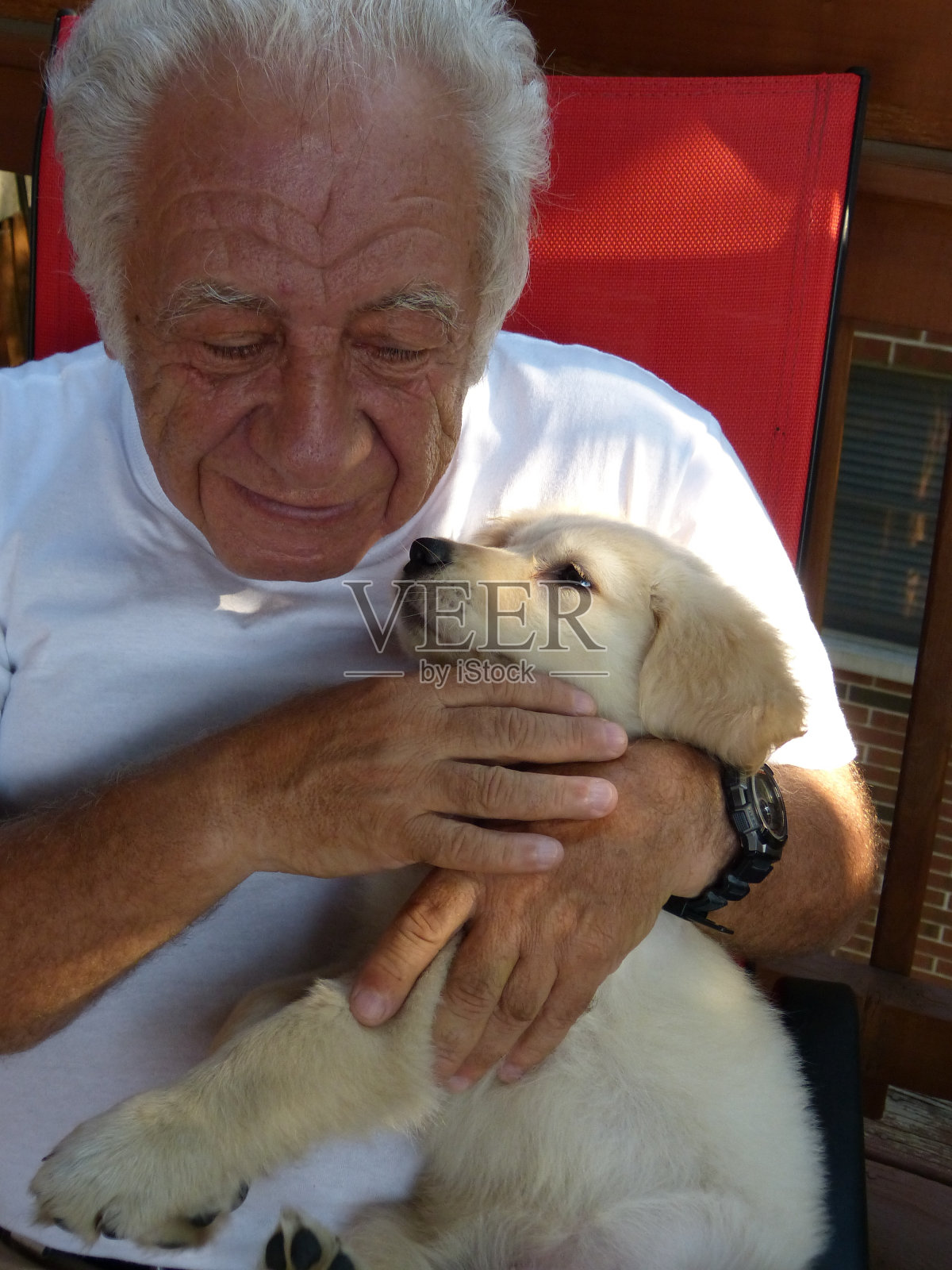 老年人照片摄影图片