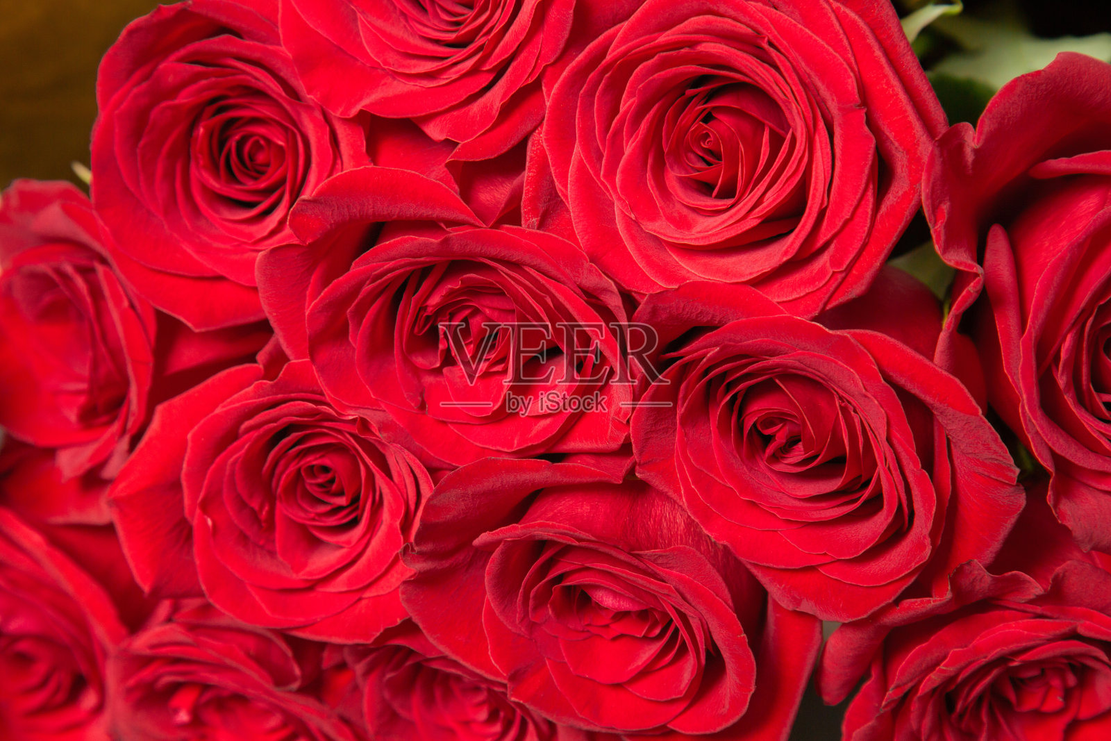 天然红玫瑰背景。爱的象征。照片摄影图片