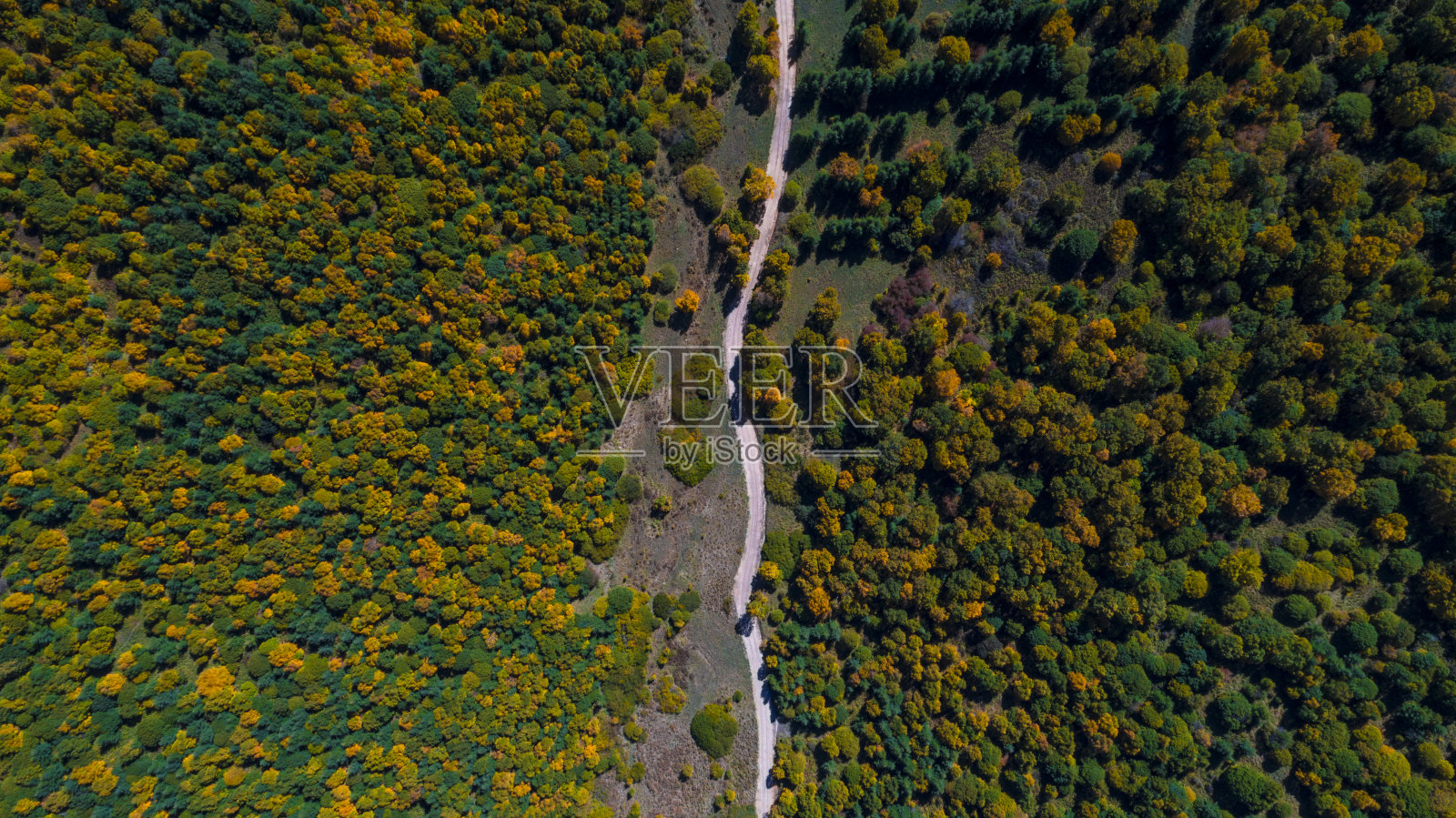 鸟瞰图森林中的道路照片摄影图片