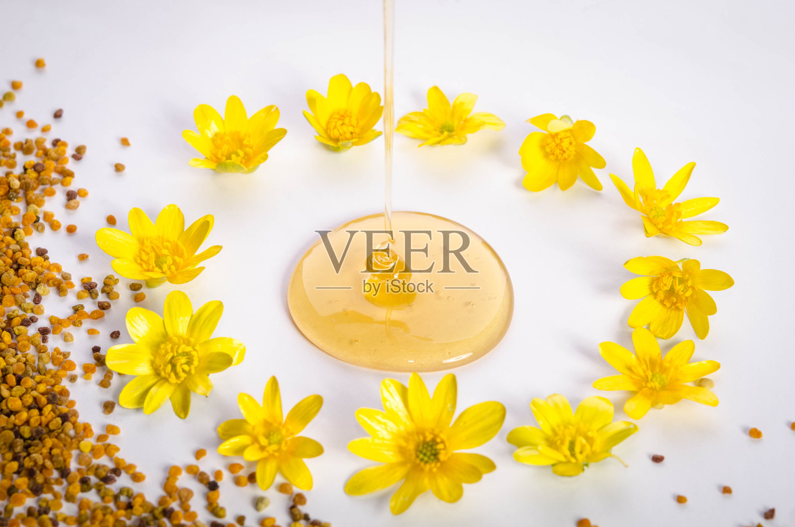 花粉和蜂蜜与花周围照片摄影图片