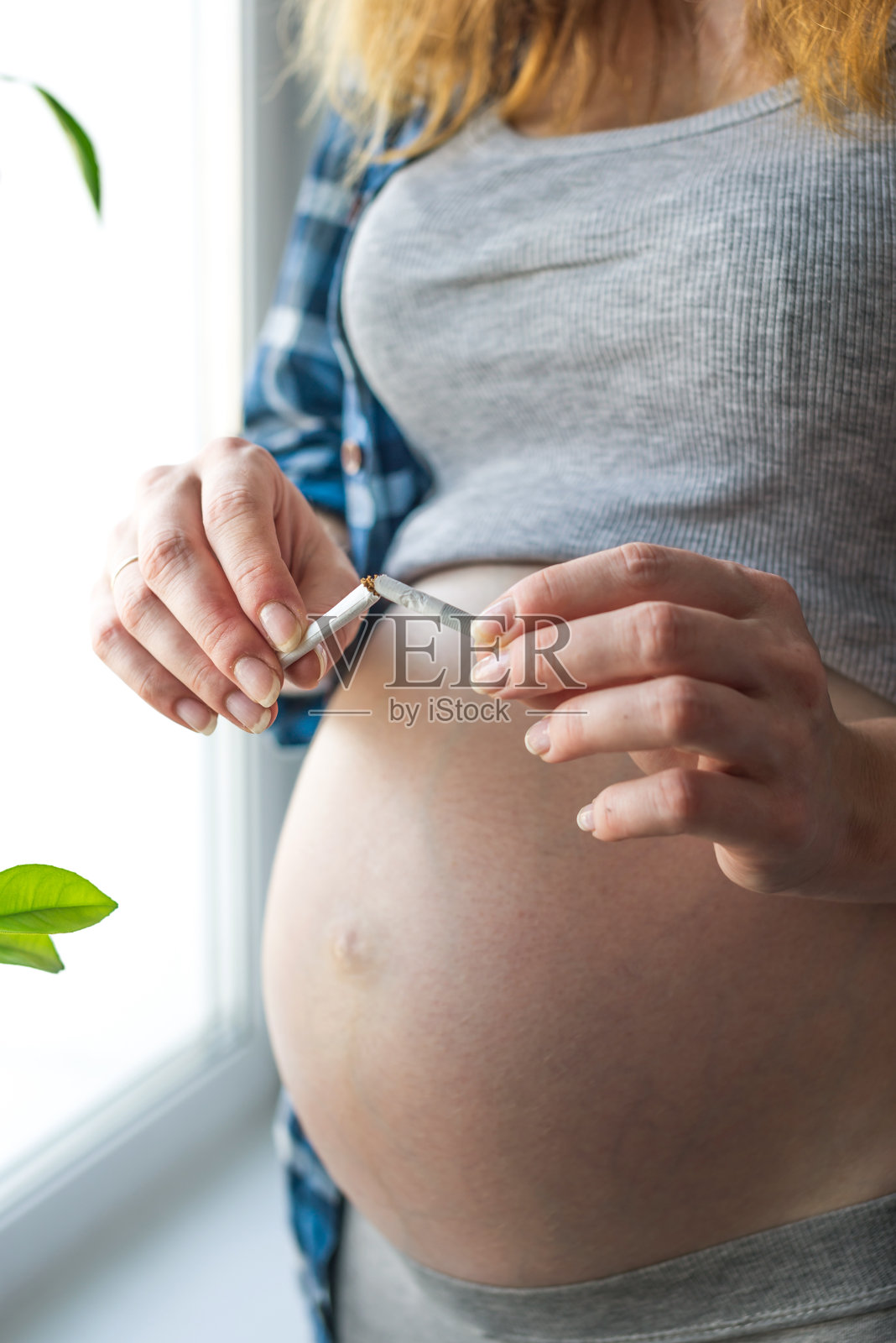 孕妇用手折断香烟，戒烟概念照片摄影图片