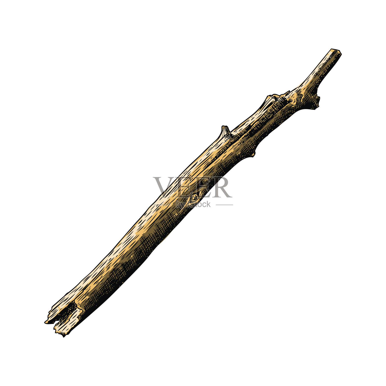 手绘水彩模仿和画树枝，树枝孤立在白色的背景。向量。设计元素图片