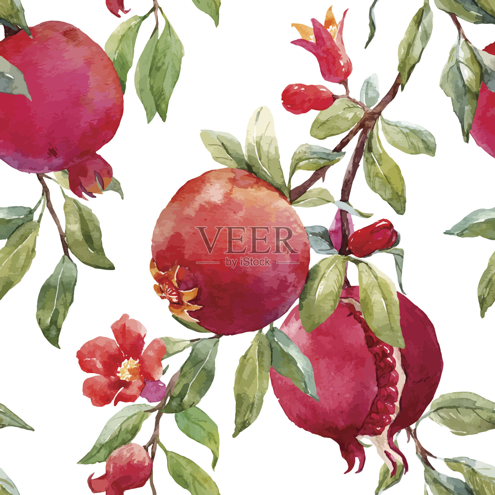 石榴水果矢量图案插画图片素材