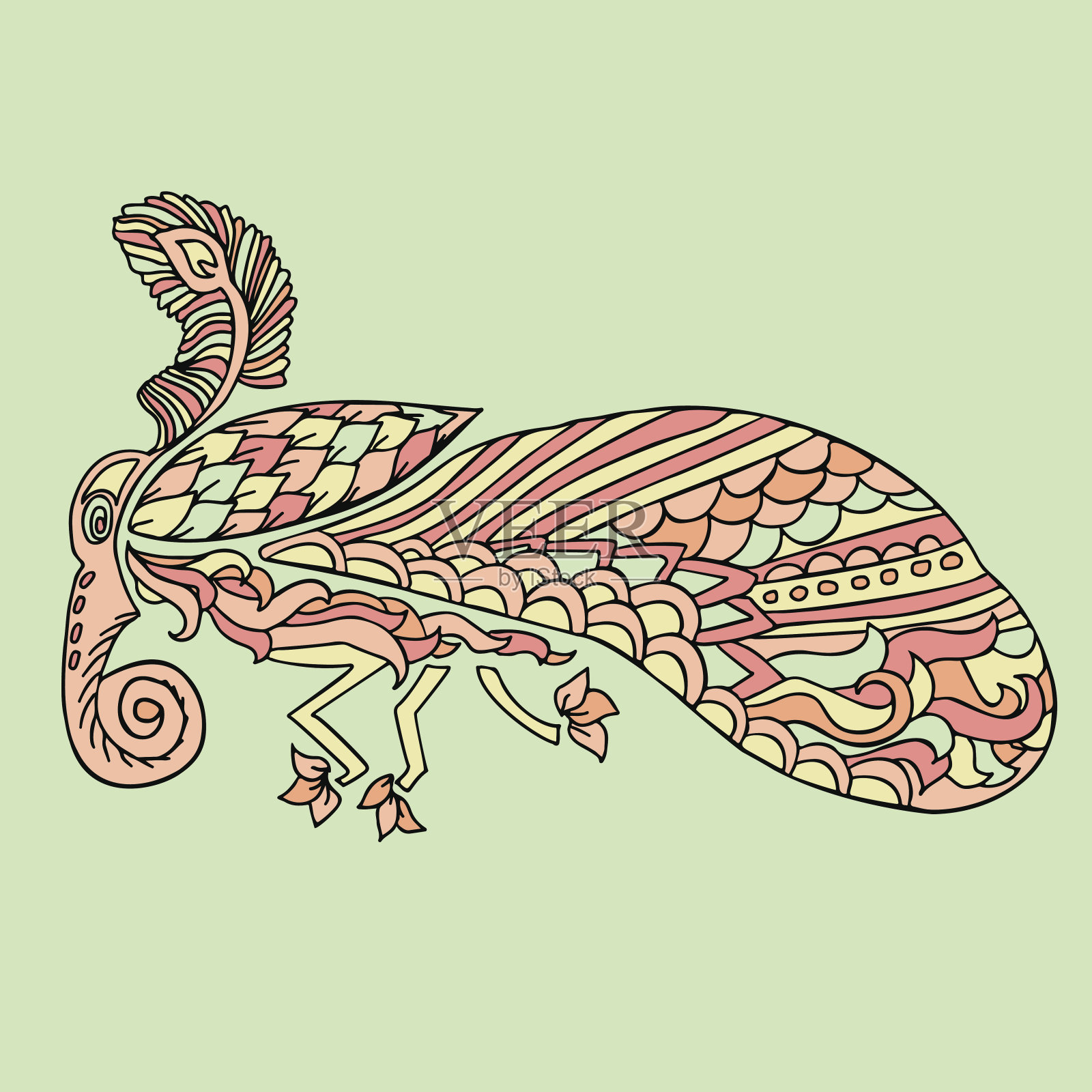 蛾与民族花卉装饰。Zentagle模式。矢量插图涂鸦。Night-fly蛾。插画图片素材