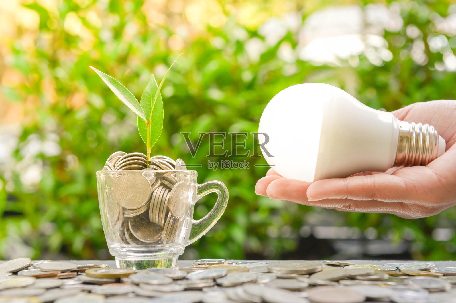 女人的手拿着一个LED灯泡，在玻璃和阳光中生长植物-节能的概念照片摄影图片